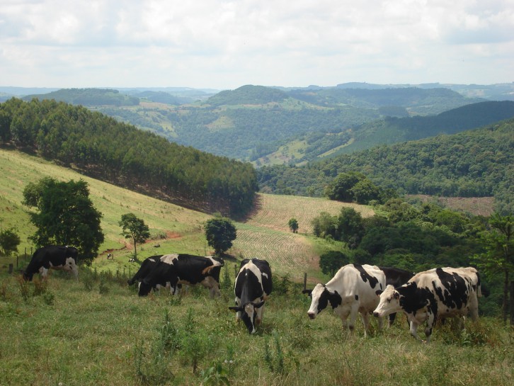 Foto: Ademilson Barreiros da Silva 