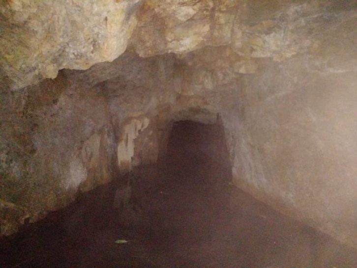 Cidasc faz captura de morcegos hematófagos em Imaruí e Pedras Grandes